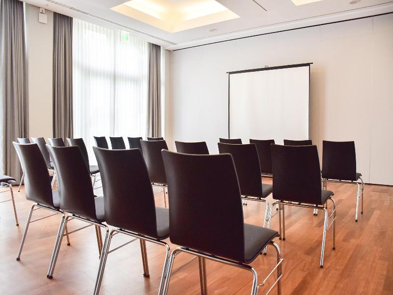 Radisson Blu Park Hotel & Conference Centre - Toplantı