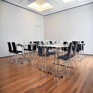 Radisson Blu Park Hotel & Conference Centre fotoÄŸrafÄ±