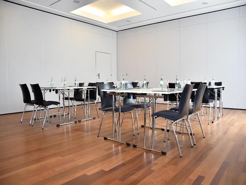 Radisson Blu Park Hotel & Conference Centre - Toplantı