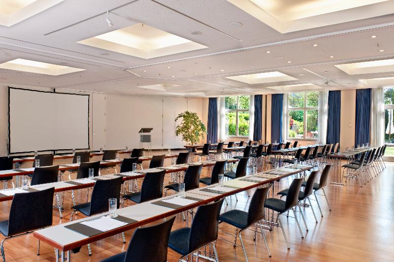 Radisson Blu Park Hotel & Conference Centre - Toplantı
