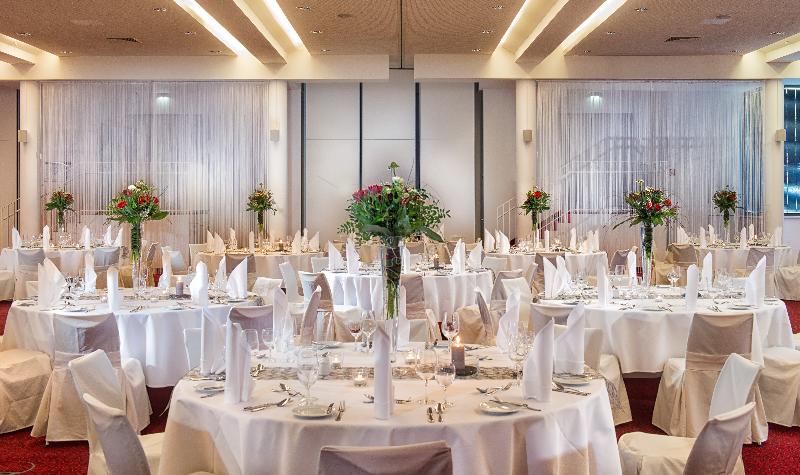 Radisson Blu Park Hotel & Conference Centre - Toplantı