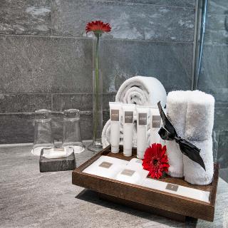 Swissotel Amsterdam fotoÄŸrafÄ±