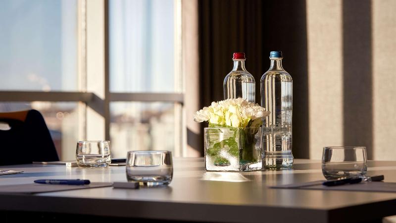 Park Plaza Utrecht - Toplantı