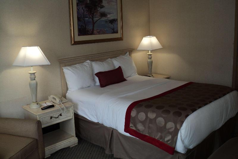 Ramada by Wyndham Yonkers - Oda