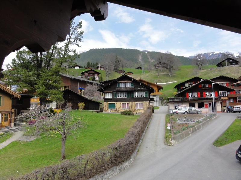 Steinbock - Genel
