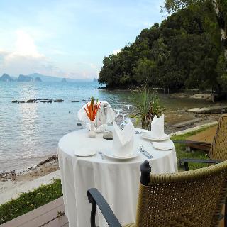 Niramaya Villa and Wellness fotoÄŸrafÄ±