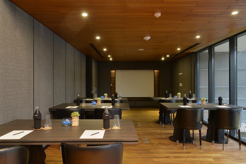 Akyra Manor Chiang Mai - Toplantı