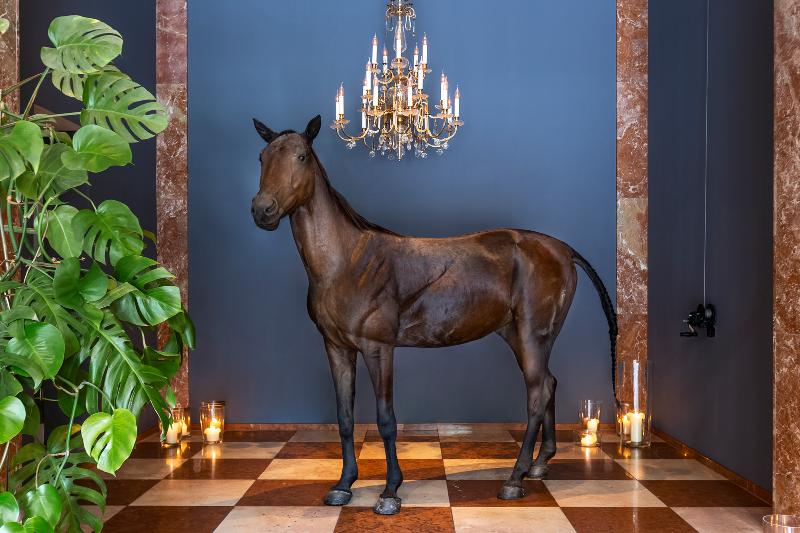 Grand Ferdinand - Lobi