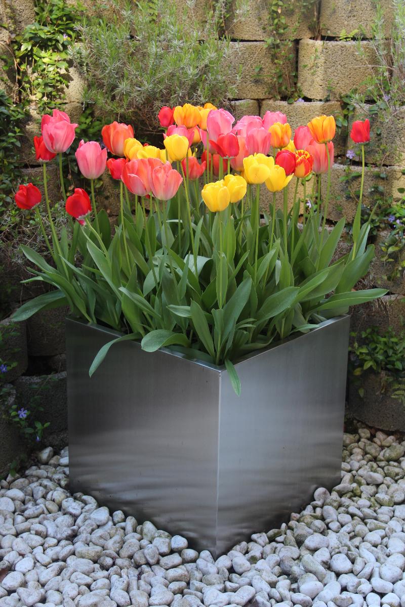 Tulip Inn Lausanne Beaulieu - Genel