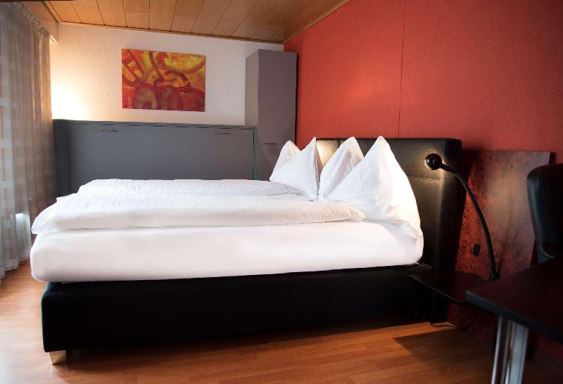TOP Hotel Rothaus Luzern & Peruvian Culinary Art - Genel