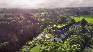 The Westin Resort & Spa Ubud, Bali otel fotoğrafı