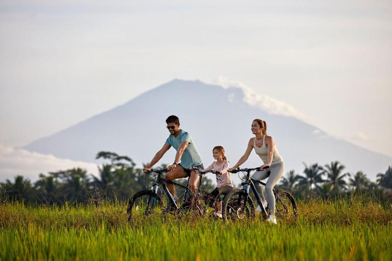The Westin Resort & Spa Ubud, Bali - Genel