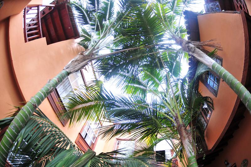Hotel Emblematico San Marcos - Teras