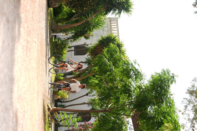 Tenuta del Barco - Genel