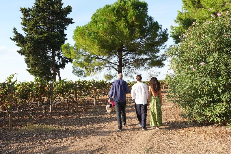 Tenuta del Barco - Genel