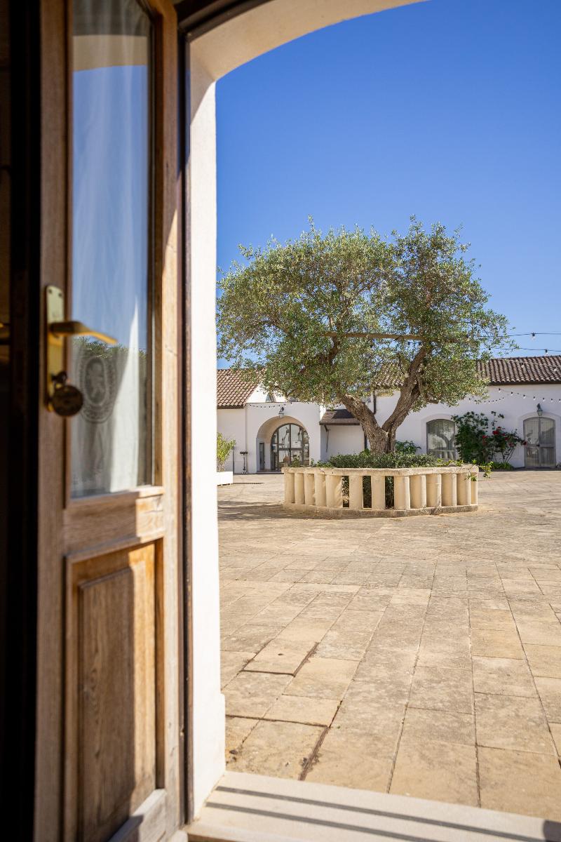 Tenuta del Barco - Oda