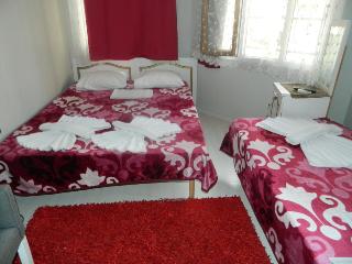 Family Istanbul fotoÄŸrafÄ±