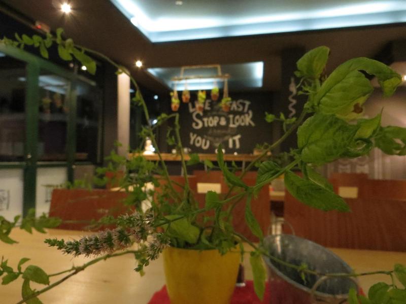 Leonidaion Guest House - Lobi