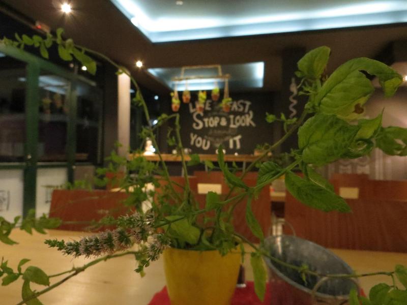 Leonidaion Guest House - Lobi