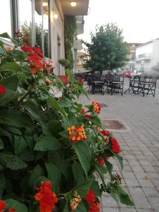 Leonidaion Guest House fotoÄŸrafÄ±