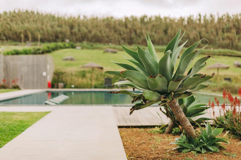 Santa Barbara Eco Beach Resort - Havuz