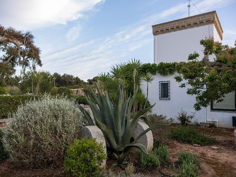 Masseria Tenuta Specolizzi - Genel