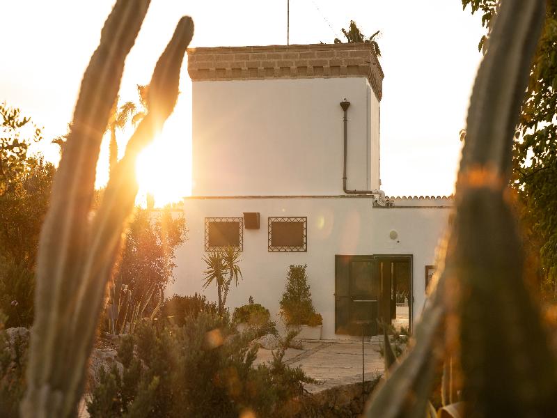 Masseria Tenuta Specolizzi - Genel