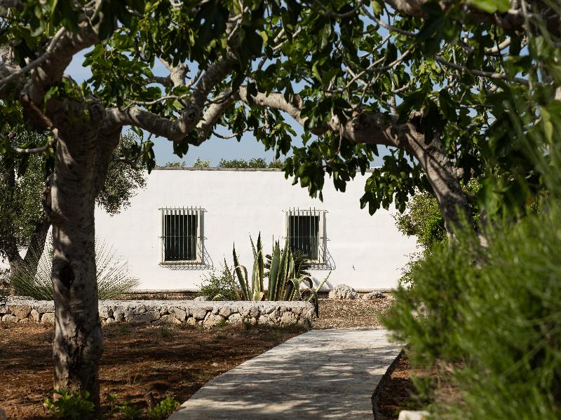 Masseria Tenuta Specolizzi - Genel