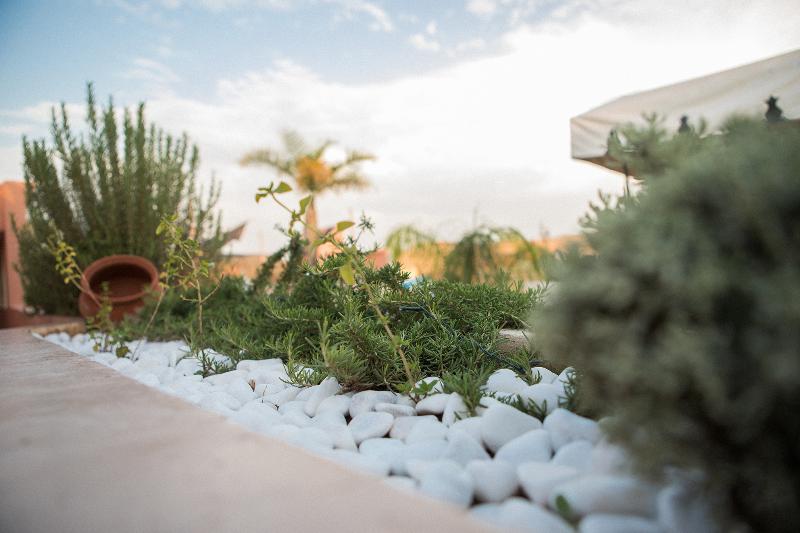 Riad Villa Harmonie - Teras