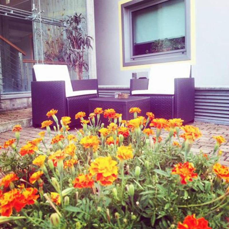 Hotel Medea - Teras