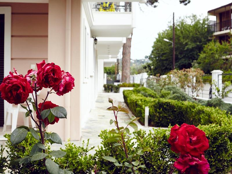 Skiathos Somnia - Genel