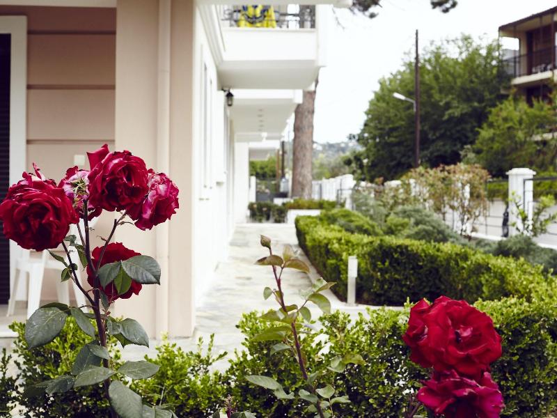 Skiathos Somnia - Genel