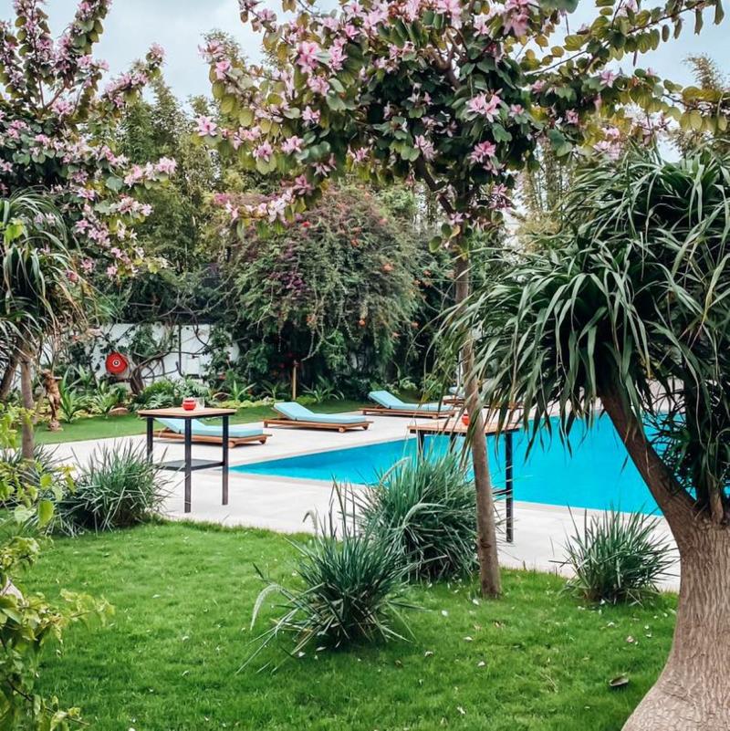 Hyatt Regency Casablanca - Havuz