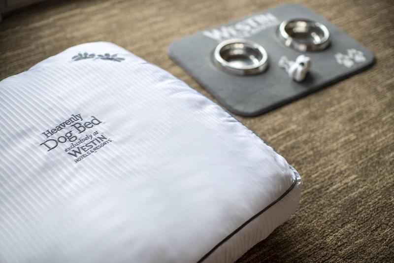 The Westin Doha Hotel & Spa, Doha - Genel