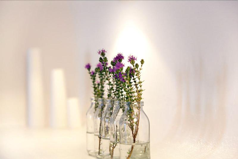 Calme Boutique Hotel - Oda