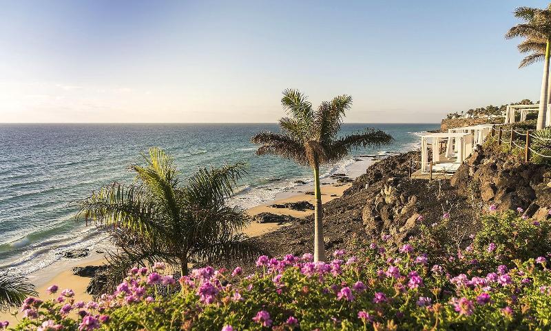 Royal Palm Resort & Spa - Plaj