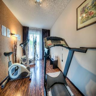 Clarion Aparthotel Toulouse Le Parc De l'Escale fotoÄŸrafÄ±