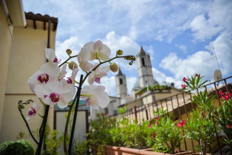 Di Sabatino Resort - Suite Apartments & SPA - Genel