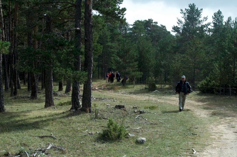 Apartamentos Rurales Sierra de Gúdar - Aktivite