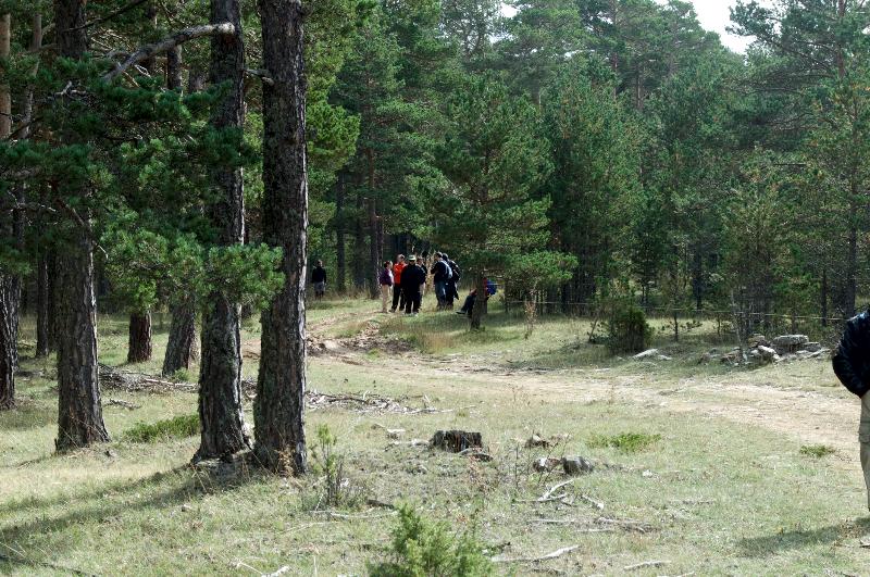 Apartamentos Rurales Sierra de Gúdar - Aktivite