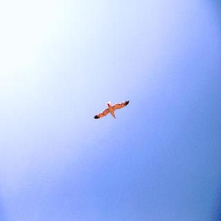 Paraskevas fotoÄŸrafÄ±