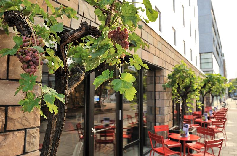 Ibis Rotterdam City Centre - Teras