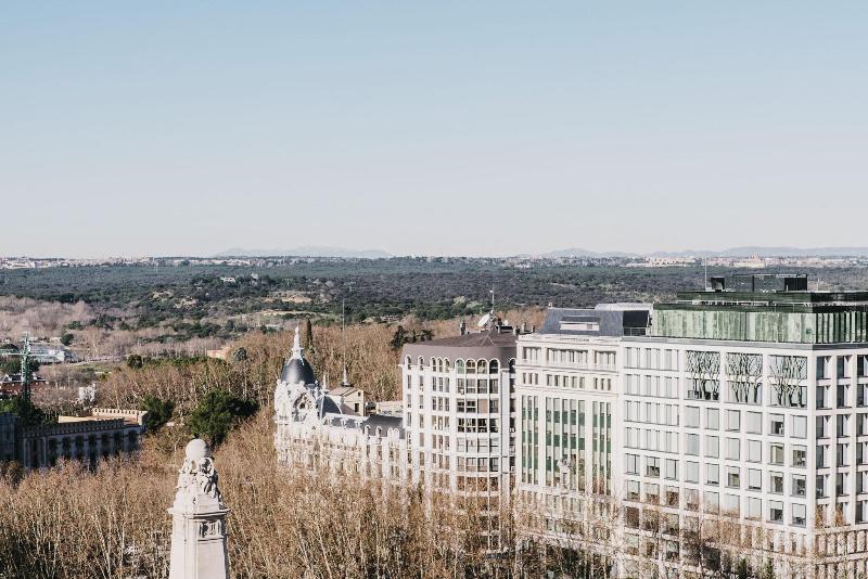 Dear Hotel Madrid - Genel