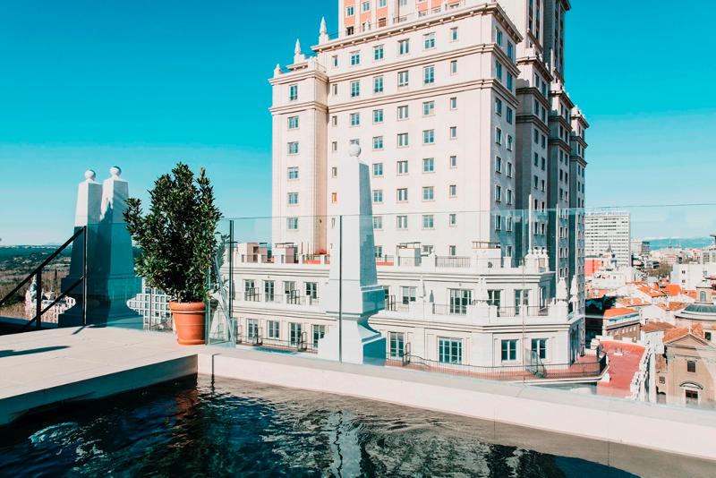 Dear Hotel Madrid - Havuz