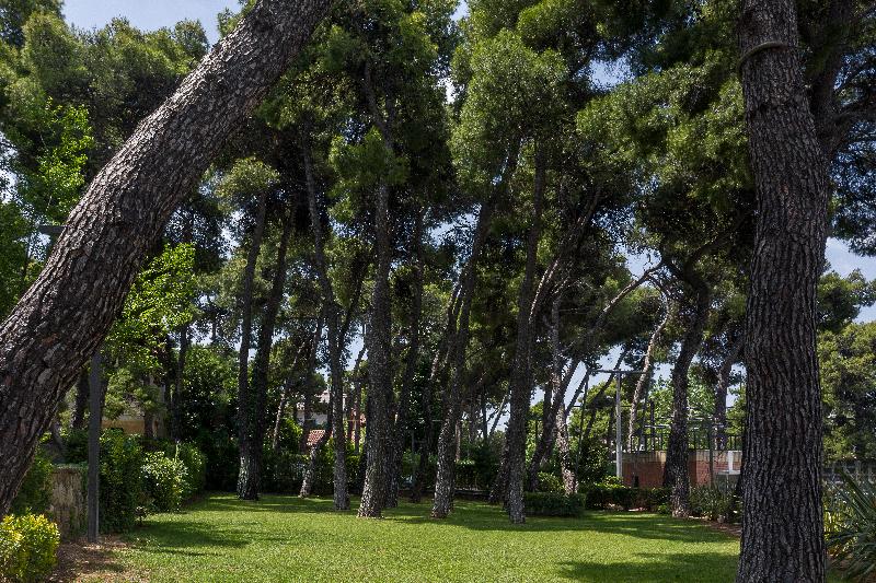 Domotel Kastri - Genel