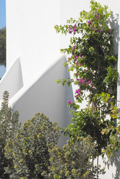 Aqua Blue Beach Hotel - Genel