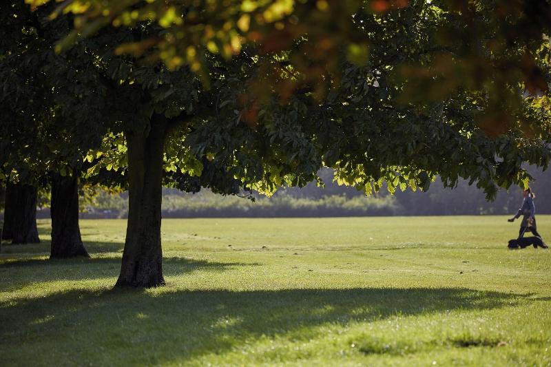 Mandarin Oriental Hyde Park London - Aktivite