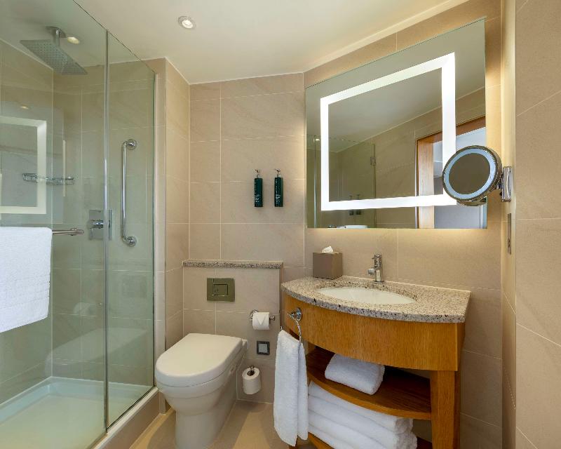 London Hilton on Park Lane - Oda