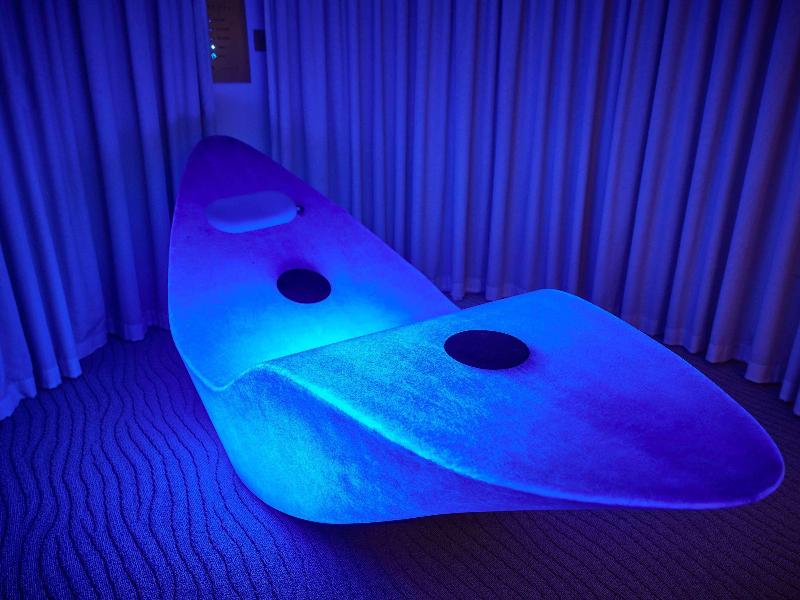 Sofitel Londra St James - Aktivite