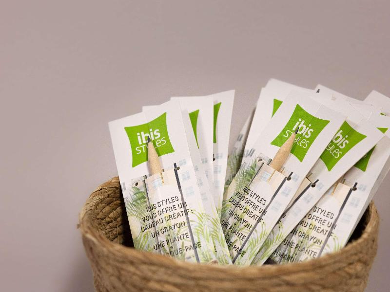 Ibis Styles Albi Centre Le Theatro - Toplantı